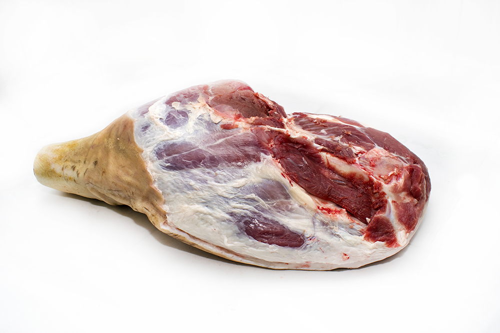 XAMON-SIN-PATA